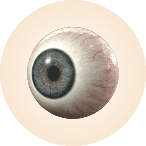 Ophthalmology