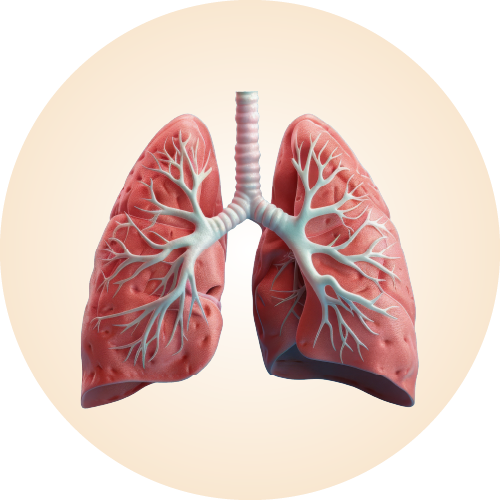  Pulmonology